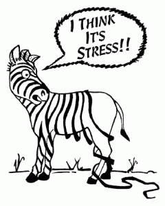 Stress-ZebraStripes